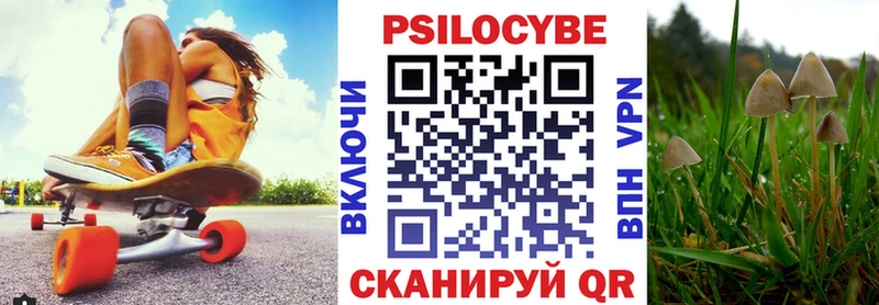 Псилоцибиновые грибы ЛСД  мега сайт  Ахтырский  наркота 